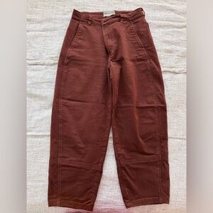 Everlane Barrel Pants (10)